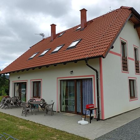 Apartmany U Olsinske Kaplicky Horní Planá المظهر الخارجي الصورة