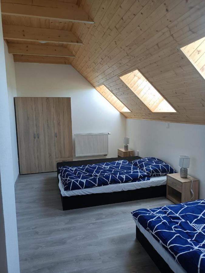Apartmany U Olsinske Kaplicky Horní Planá المظهر الخارجي الصورة