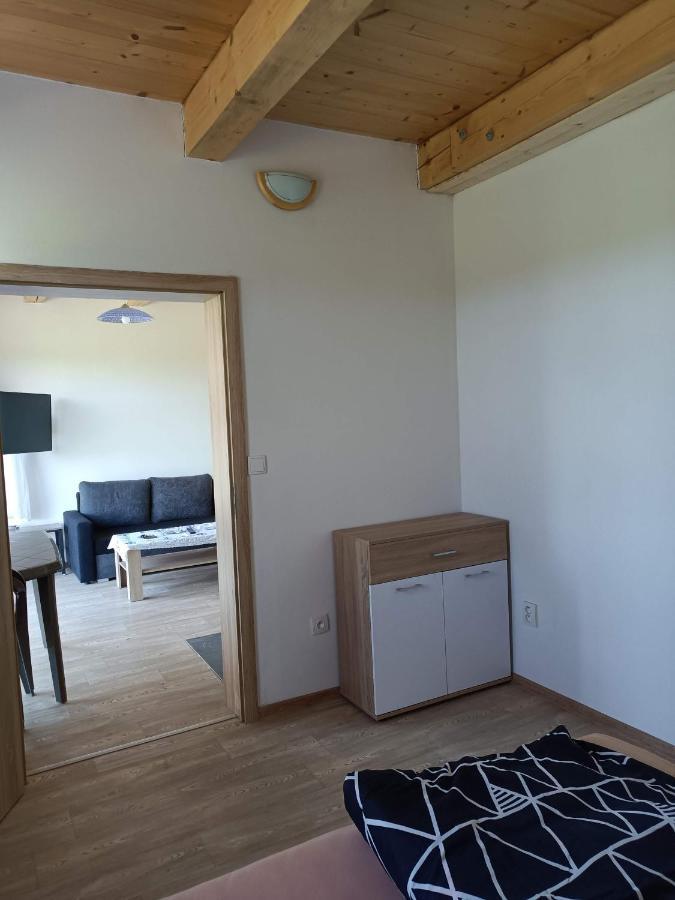 Apartmany U Olsinske Kaplicky Horní Planá المظهر الخارجي الصورة
