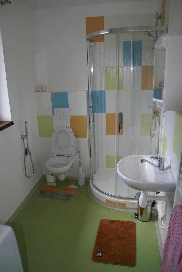 Apartmany U Olsinske Kaplicky Horní Planá المظهر الخارجي الصورة