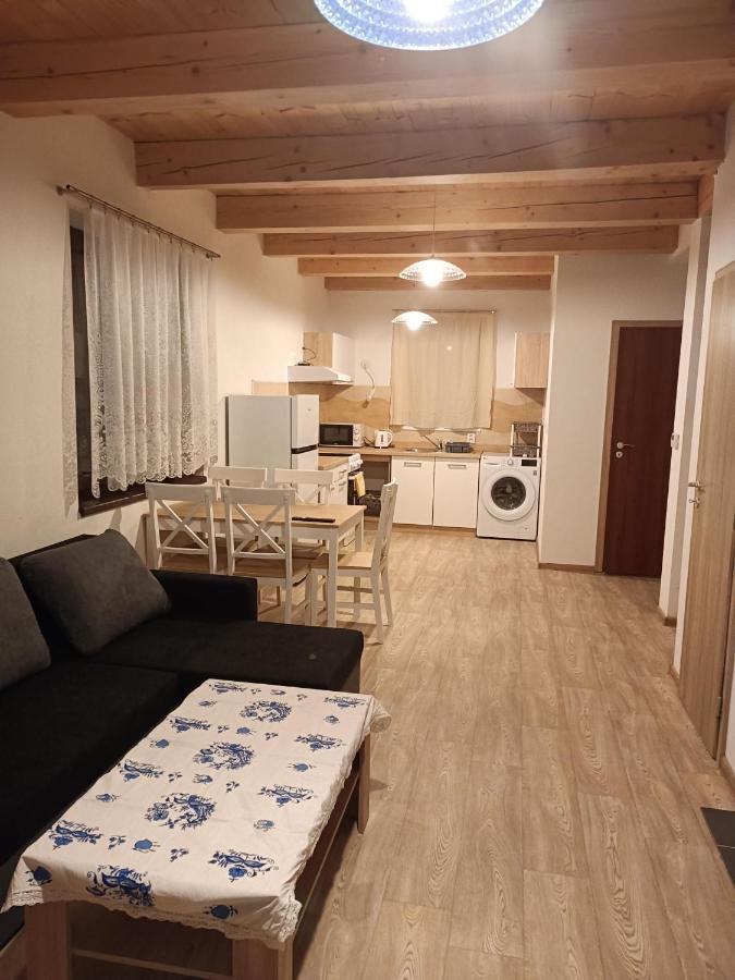 Apartmany U Olsinske Kaplicky Horní Planá المظهر الخارجي الصورة