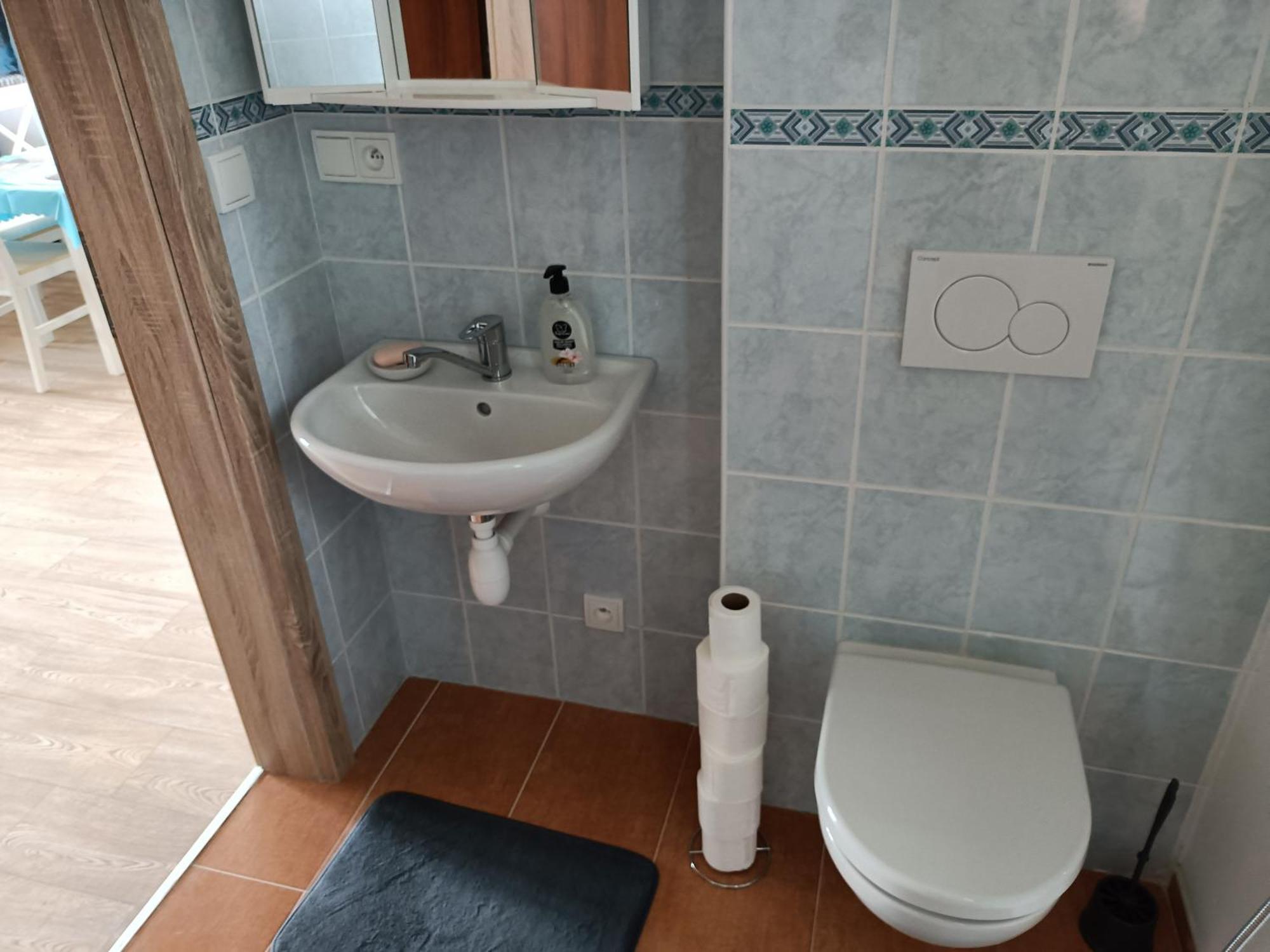Apartmany U Olsinske Kaplicky Horní Planá المظهر الخارجي الصورة
